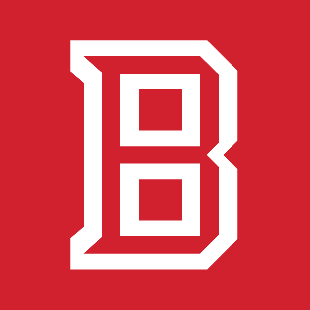 Bradley Braves 2012-Pres Secondary Logo v4 iron on transfers for T-shirts